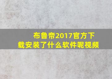 布鲁帝2017官方下载安装了什么软件呢视频