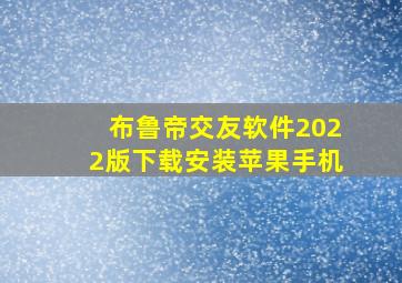 布鲁帝交友软件2022版下载安装苹果手机