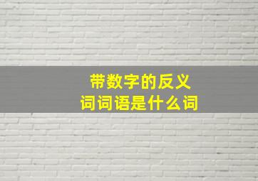 带数字的反义词词语是什么词