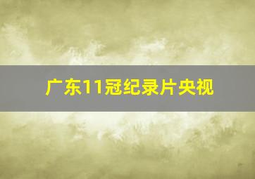 广东11冠纪录片央视