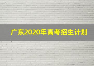 广东2020年高考招生计划