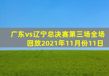 广东vs辽宁总决赛第三场全场回放2021年11月份11日