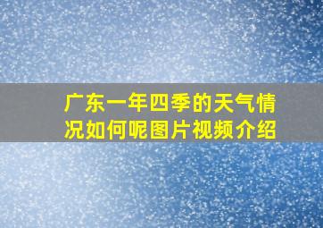 广东一年四季的天气情况如何呢图片视频介绍