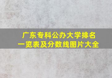 广东专科公办大学排名一览表及分数线图片大全