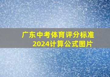 广东中考体育评分标准2024计算公式图片