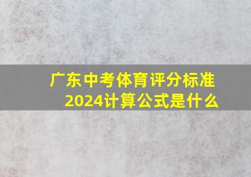 广东中考体育评分标准2024计算公式是什么