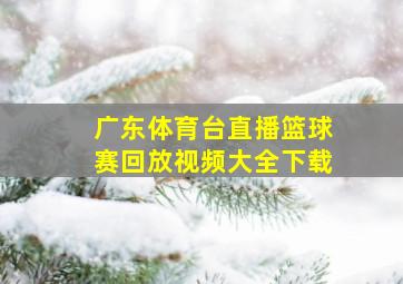 广东体育台直播篮球赛回放视频大全下载