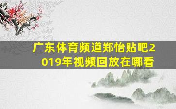 广东体育频道郑怡贴吧2019年视频回放在哪看