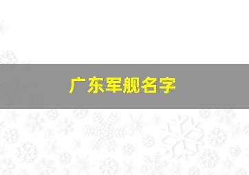 广东军舰名字