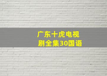 广东十虎电视剧全集30国语