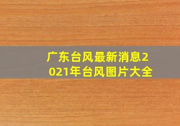 广东台风最新消息2021年台风图片大全