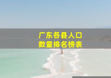 广东各县人口数量排名榜表