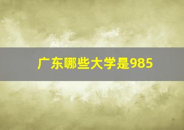 广东哪些大学是985