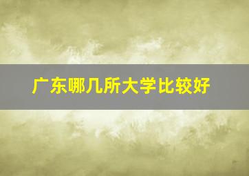 广东哪几所大学比较好