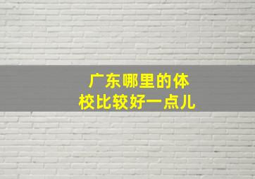 广东哪里的体校比较好一点儿