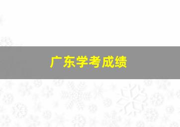 广东学考成绩