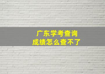 广东学考查询成绩怎么查不了