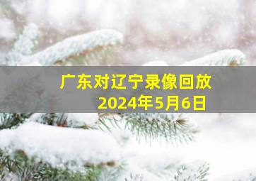 广东对辽宁录像回放2024年5月6日