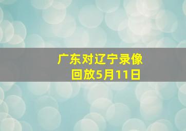 广东对辽宁录像回放5月11日