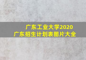 广东工业大学2020广东招生计划表图片大全