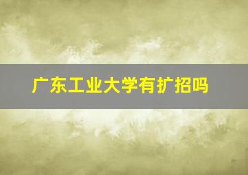 广东工业大学有扩招吗