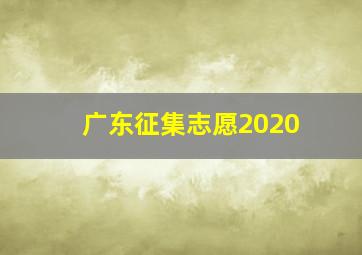 广东征集志愿2020