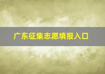 广东征集志愿填报入口