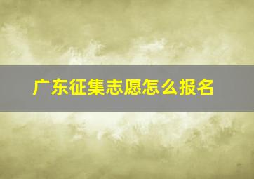 广东征集志愿怎么报名