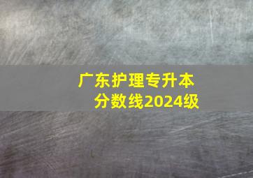 广东护理专升本分数线2024级