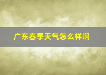 广东春季天气怎么样啊