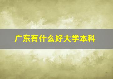 广东有什么好大学本科