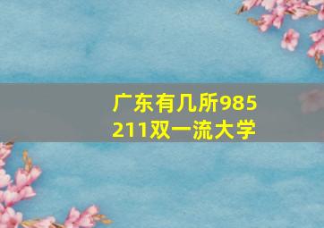 广东有几所985211双一流大学