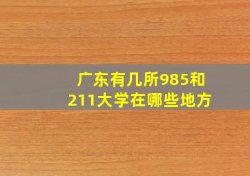 广东有几所985和211大学在哪些地方