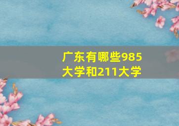 广东有哪些985大学和211大学