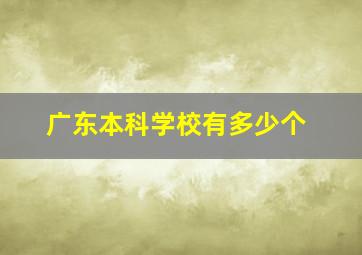 广东本科学校有多少个