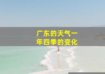 广东的天气一年四季的变化