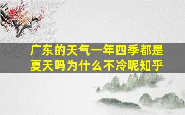 广东的天气一年四季都是夏天吗为什么不冷呢知乎