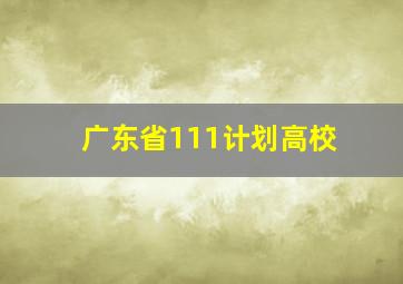 广东省111计划高校