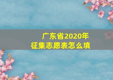 广东省2020年征集志愿表怎么填