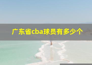 广东省cba球员有多少个