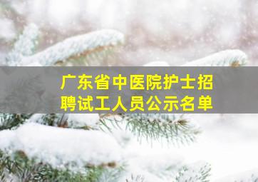 广东省中医院护士招聘试工人员公示名单