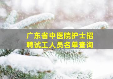 广东省中医院护士招聘试工人员名单查询