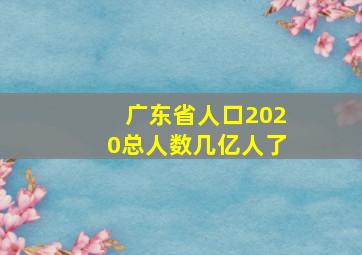 广东省人口2020总人数几亿人了