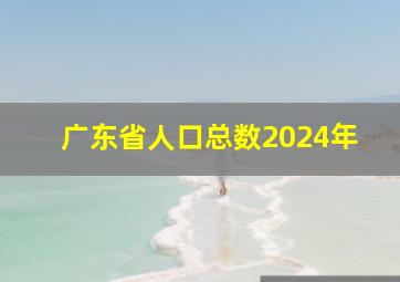 广东省人口总数2024年