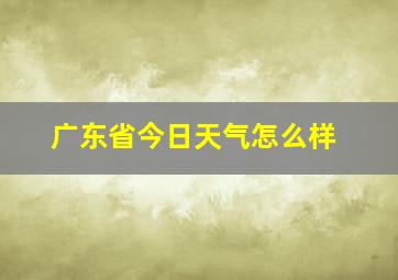 广东省今日天气怎么样