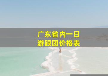 广东省内一日游跟团价格表