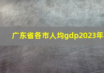 广东省各市人均gdp2023年