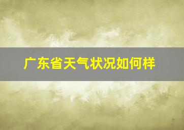 广东省天气状况如何样