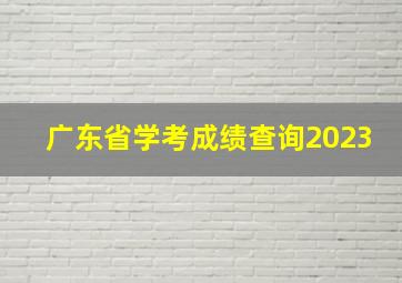 广东省学考成绩查询2023