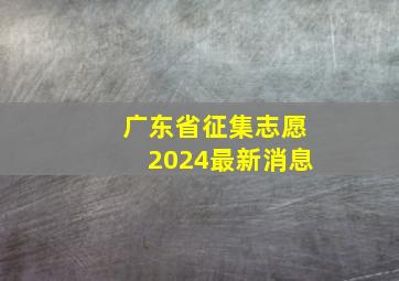 广东省征集志愿2024最新消息